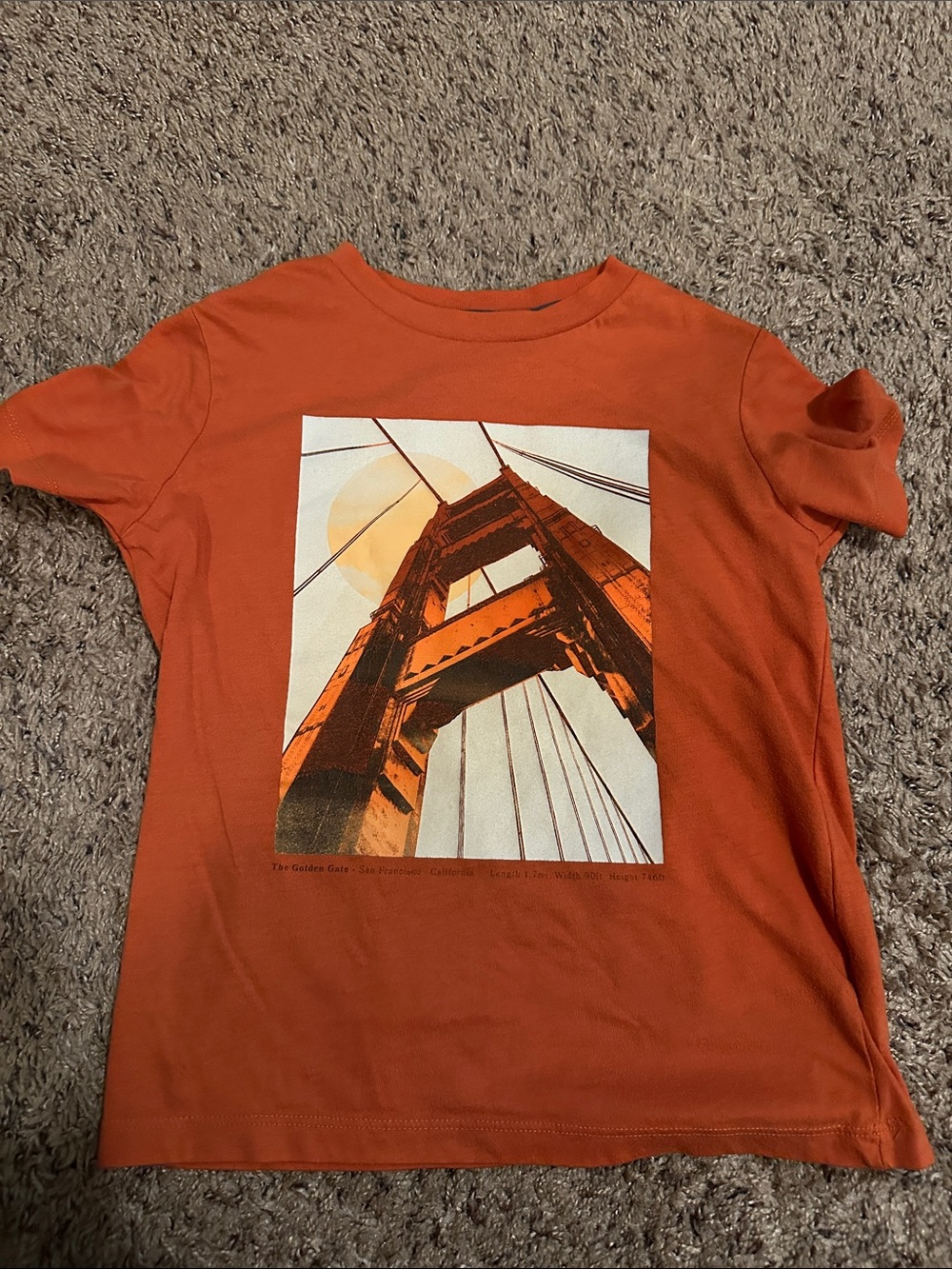 Boys graphic t shirt
